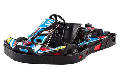 Adult Karting